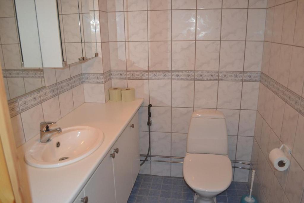 Salmon Holiday Village Kemijarvi Ngoại thất bức ảnh